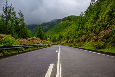 Road by trees against sky