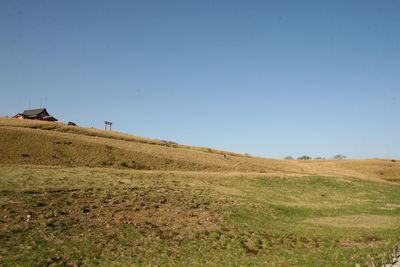 Scenic view of field against clear sky