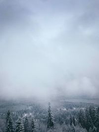Scenic view of field against sky during winter