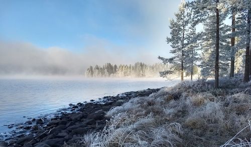 Scenic view of snow covered land against sky