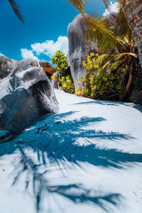 Scenic view of swimming pool by trees against blue sky