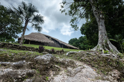 Scenic view of trees and houses against sky