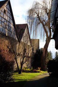 Bare trees outside house against sky