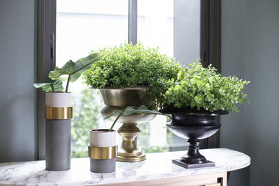 Potted plant on table at home