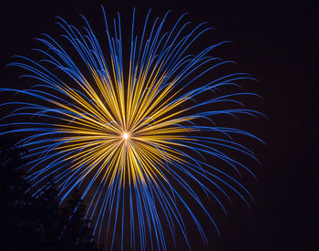 Low angle view of firework display at night