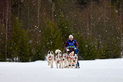 View of a dog on snow covered landscape