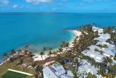 High angle view of palm trees on beach