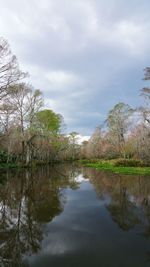 Reflection of trees in lake against sky