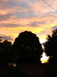 Silhouette trees against sky during sunset