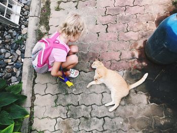 Full length of girl with cat sitting on wall