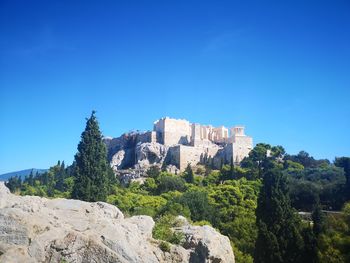 Trees and buildings against clear blue sky
