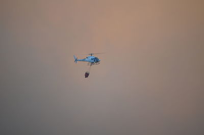 The loneliness of an heroic fireman fighting an huge dire - sardinia 2016