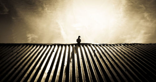 Low angle view of silhouette man against sky