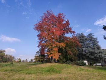 Trees on field against sky during autumn