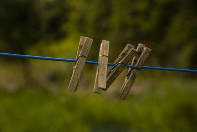 Close-up of clothespins hanging on rope