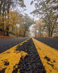 Surface level of yellow road amidst trees