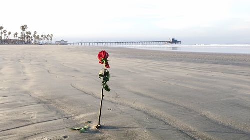 Full length of man on beach against sky