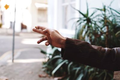 Cropped hand holding cigarette