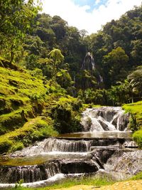 Scenic view of waterfall