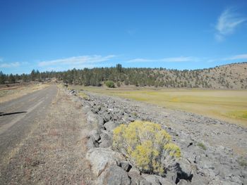 Scenic view of landscape against blue sky