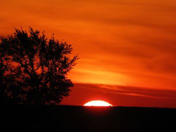 Silhouette tree against orange sky