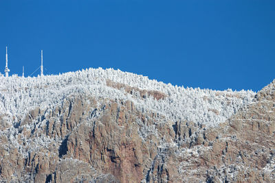 Low angle view of frozen plants against sky