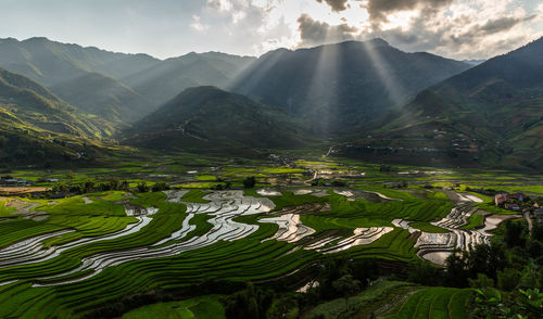 Scenic view of agricultural field and mountains