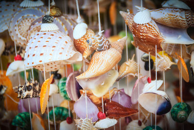 Close-up of seashells hanging by string for sale in market