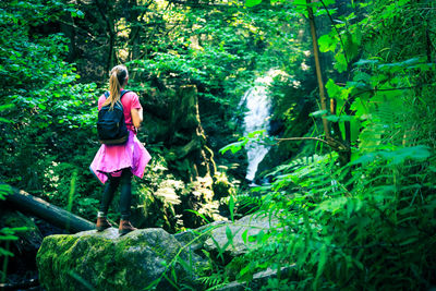 Rear view of woman standing amidst trees in forest