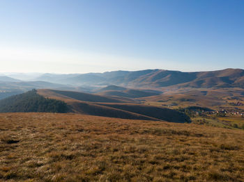 Scenic view of field against clear sky