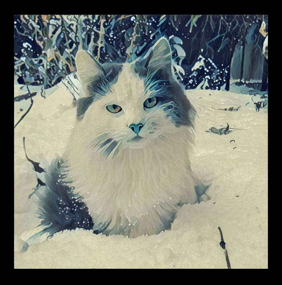 CLOSE-UP PORTRAIT OF CAT ON GROUND