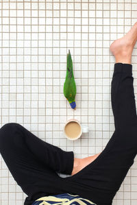 Directly above shot of woman having coffee with rainbow lorikeet bird