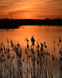 Scenic view of lake against orange sky