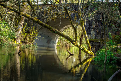 View of bridge over lake