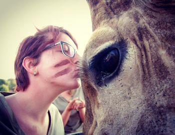 Close-up side view of woman kissing giraffe at zoo