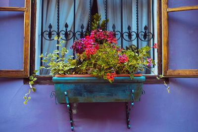 Potted plants on table by window