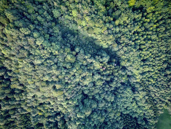 Full frame shot of abstract background