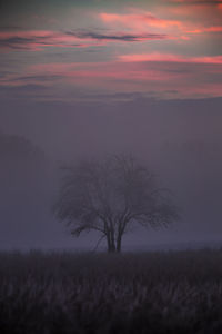 Scenic view of field against sky during sunset