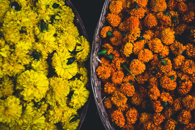 High angle view of yellow flowers for sale