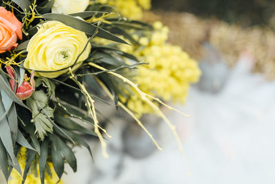 Close-up of yellow roses