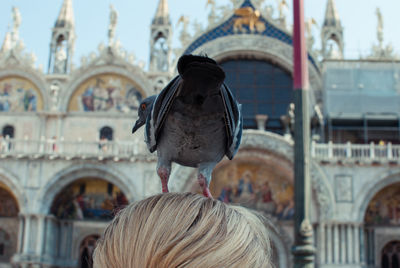 Close-up of pigeon on woman head against st marks cathedral