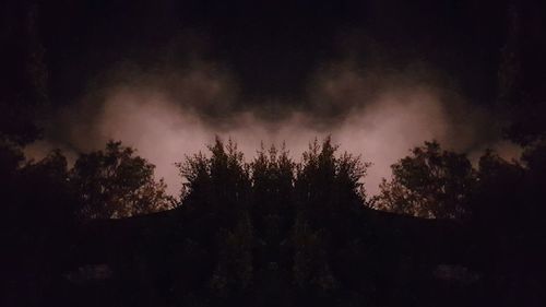 Low angle view of silhouette trees against sky at night