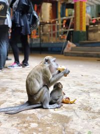 Full length of man eating food