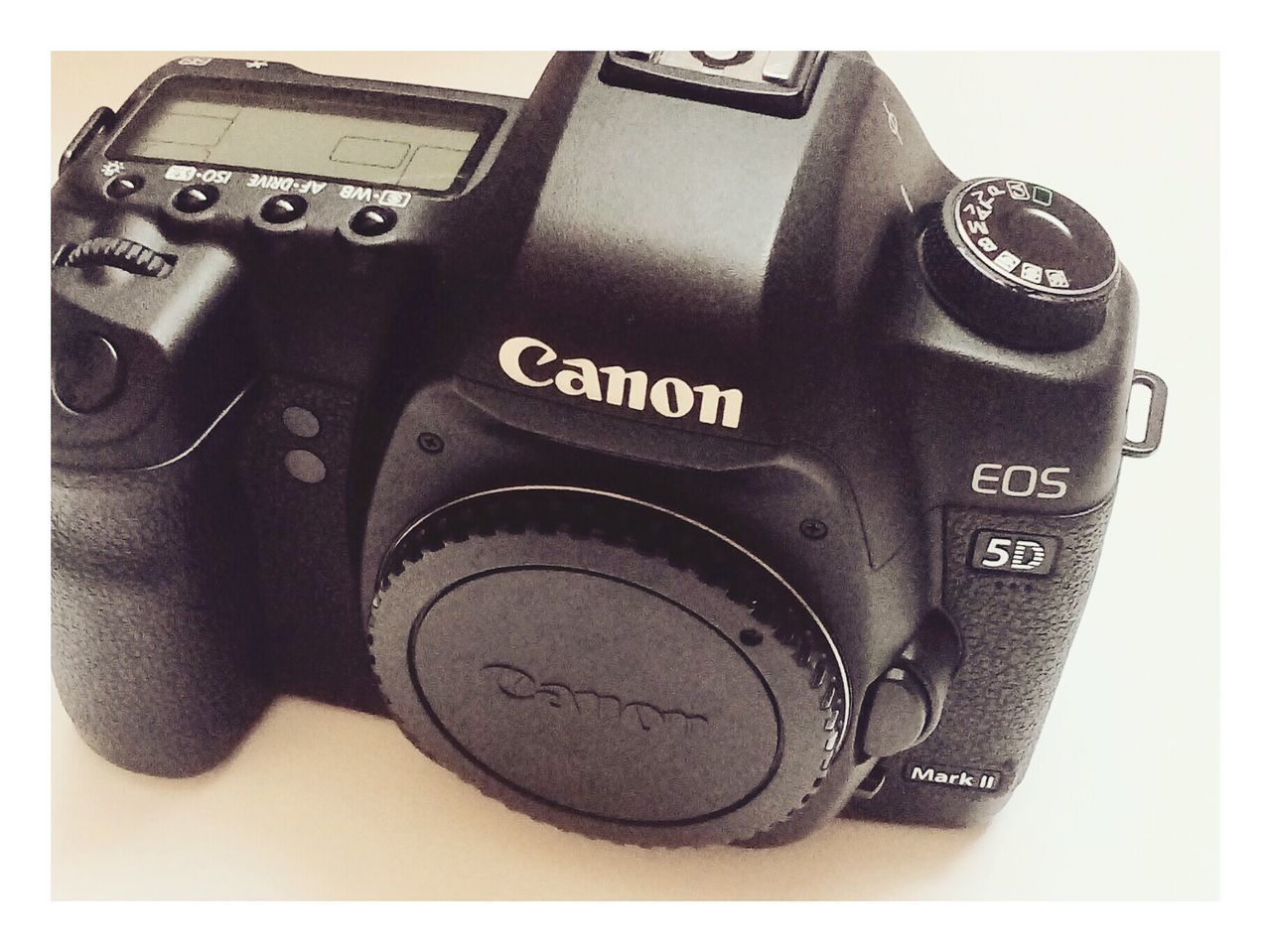 Canon 5D Mark II