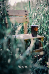 Close-up of food on plant in field