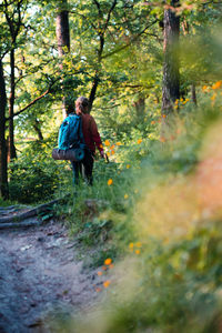 Rear view of hiker walking on footpath in forest