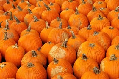 Full frame shot of pumpkins