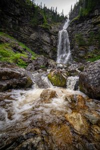 Scenic view of waterfall in forest