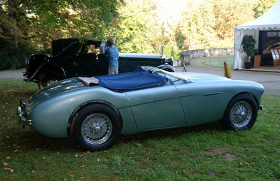 Rear view of man driving car