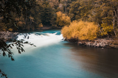 Scenic view of river amidst trees in forest during autumn